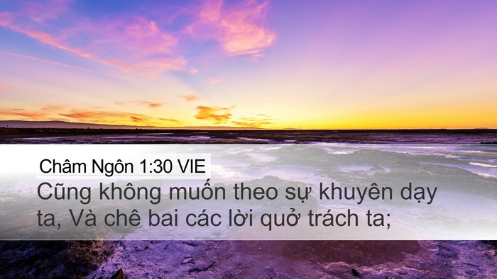 Châm Ngôn 1:30 VIE Bible Verse Image