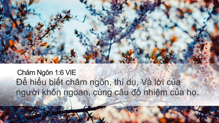 Châm Ngôn 1:6 VIE Bible Verse Image