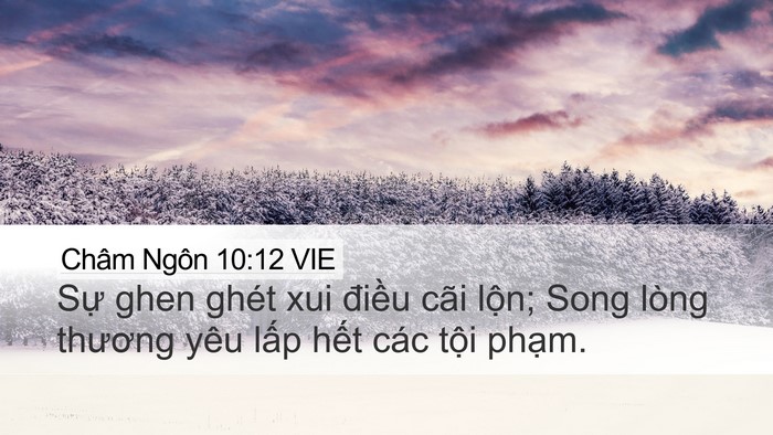 Châm Ngôn 10:12 VIE Bible Verse Image
