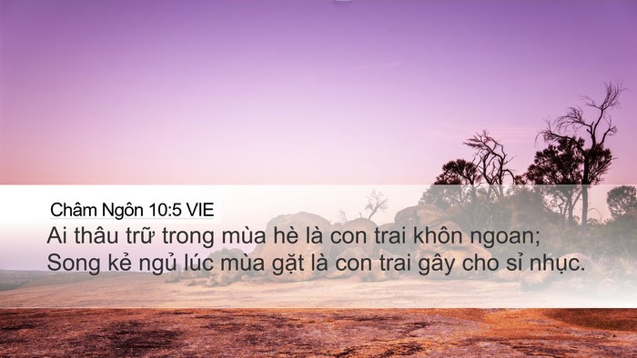 Châm Ngôn 10:5 VIE Bible Verse Image