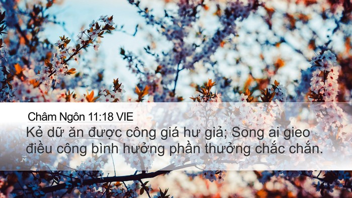 Châm Ngôn 11:18 VIE Bible Verse Image