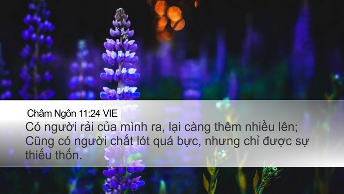 Châm Ngôn 11:24 VIE Bible Verse Image