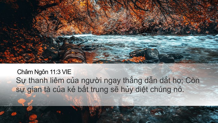Châm Ngôn 11:3 VIE Bible Verse Image