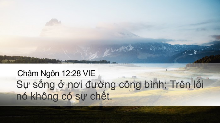 Châm Ngôn 12:28 VIE Bible Verse Image