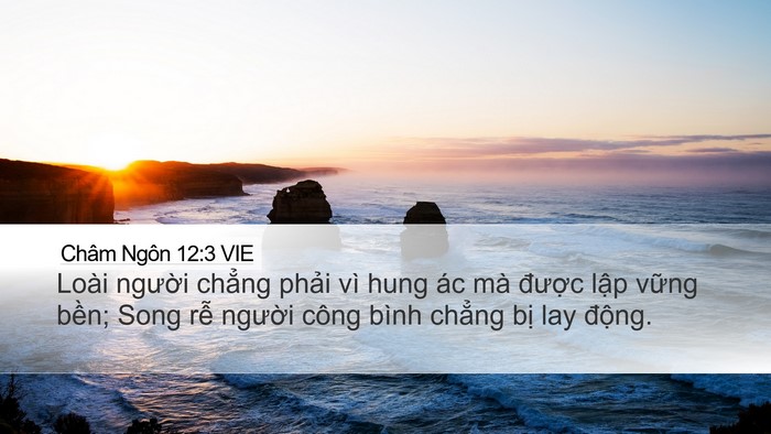 Châm Ngôn 12:3 VIE Bible Verse Image