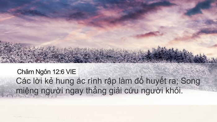 Châm Ngôn 12:6 VIE Bible Verse Image