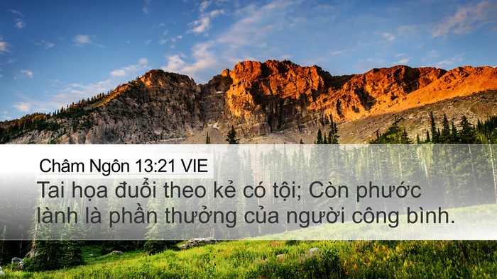Châm Ngôn 13:21 VIE Bible Verse Image