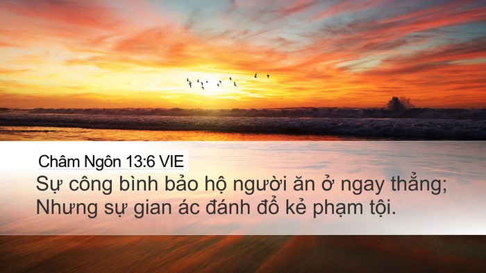 Châm Ngôn 13:6 VIE Bible Verse Image