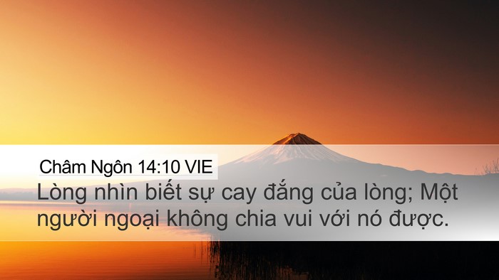 Châm Ngôn 14:10 VIE Bible Verse Image