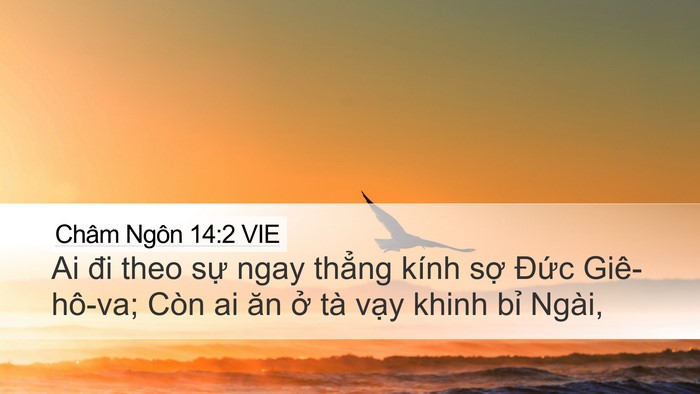Châm Ngôn 14:2 VIE Bible Verse Image