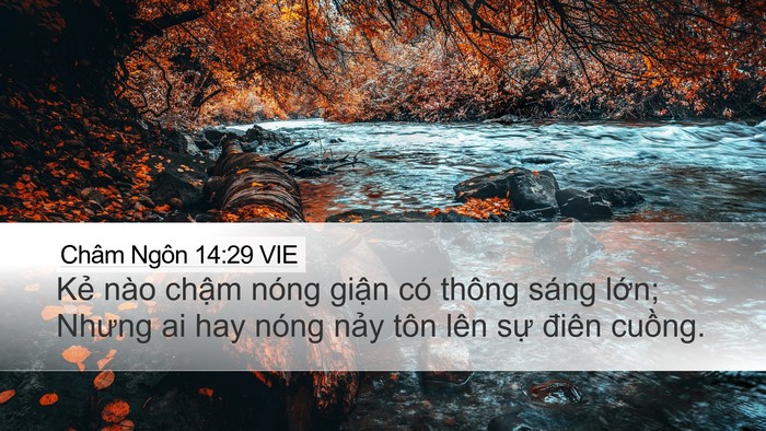 Châm Ngôn 14:29 VIE Bible Verse Image