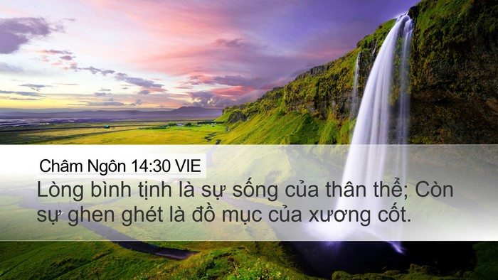 Châm Ngôn 14:30 VIE Bible Verse Image