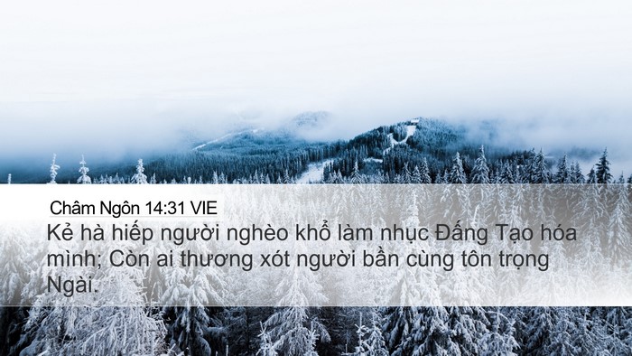 Châm Ngôn 14:31 VIE Bible Verse Image