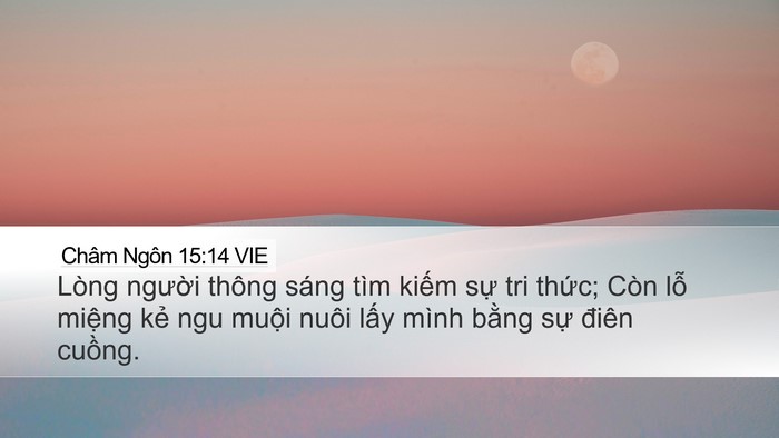 Châm Ngôn 15:14 VIE Bible Verse Image