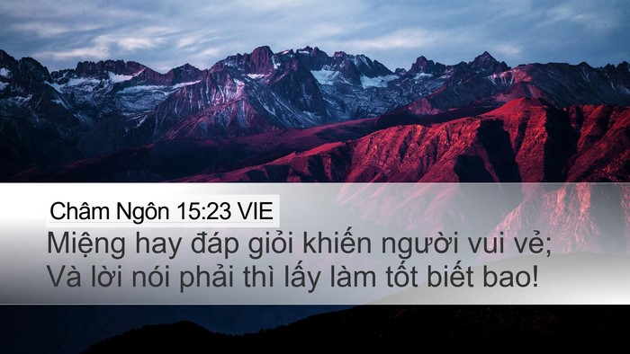 Châm Ngôn 15:23 VIE Bible Verse Image