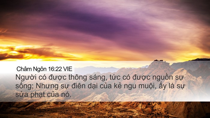 Châm Ngôn 16:22 VIE Bible Verse Image