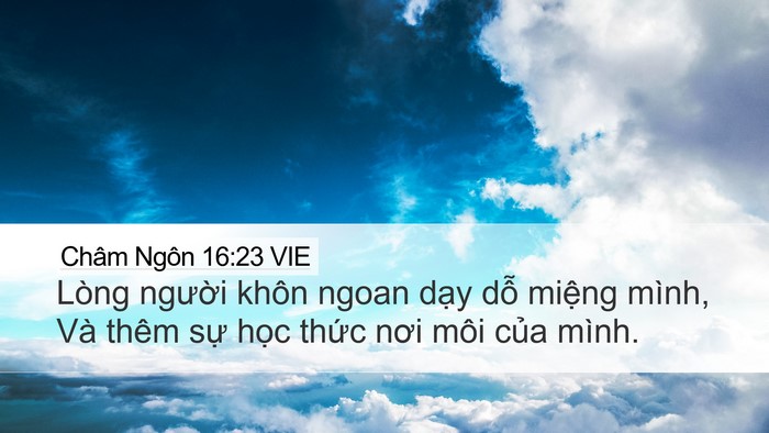 Châm Ngôn 16:23 VIE Bible Verse Image