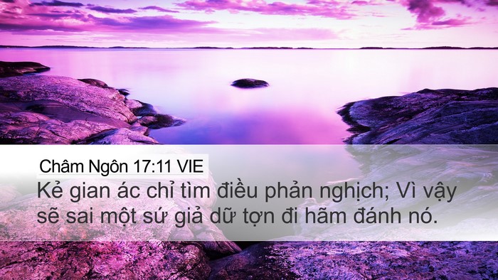 Châm Ngôn 17:11 VIE Bible Verse Image