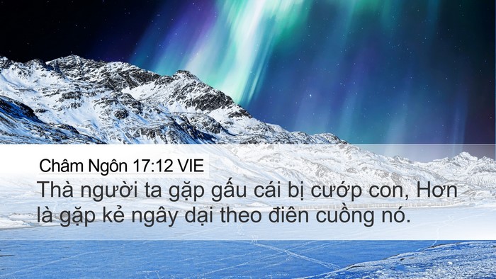 Châm Ngôn 17:12 VIE Bible Verse Image