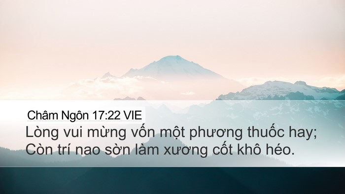 Châm Ngôn 17:22 VIE Bible Verse Image