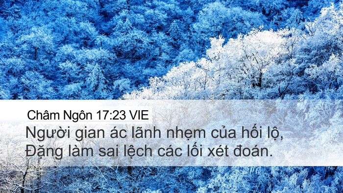 Châm Ngôn 17:23 VIE Bible Verse Image
