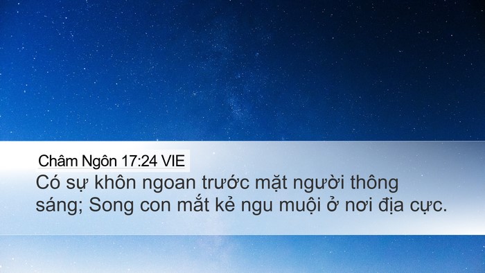 Châm Ngôn 17:24 VIE Bible Verse Image