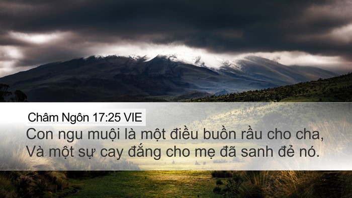 Châm Ngôn 17:25 VIE Bible Verse Image