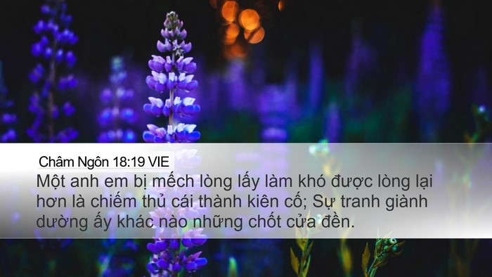 Châm Ngôn 18:19 VIE Bible Verse Image