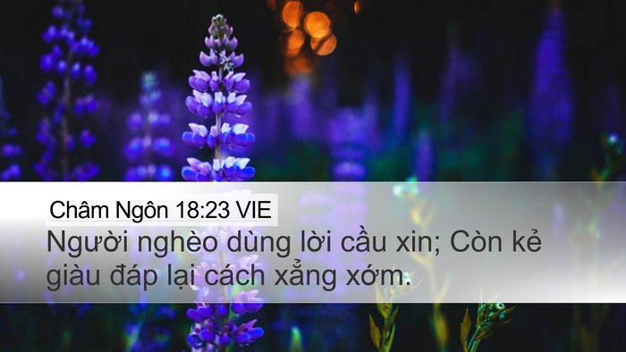 Châm Ngôn 18:23 VIE Bible Verse Image