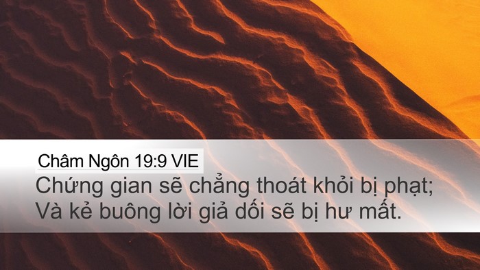 Châm Ngôn 19:9 VIE Desktop Wallpaper - Chứng gian sẽ chẳng thoát khỏi bị - Desktop Bible Verse Wallpaper