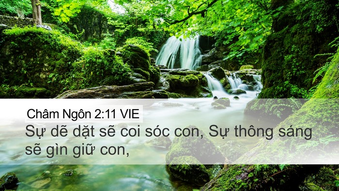 Châm Ngôn 2:11 VIE Bible Verse Image