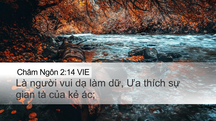 Châm Ngôn 2:14 VIE Bible Verse Image