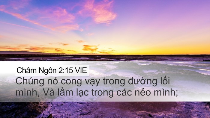 Châm Ngôn 2:15 VIE Bible Verse Image