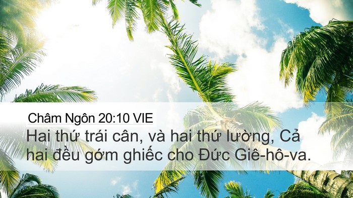 Châm Ngôn 20:10 VIE Bible Verse Image