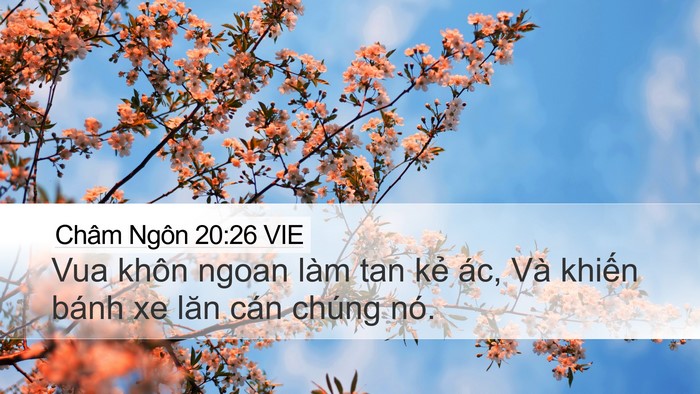Châm Ngôn 20:26 VIE Bible Verse Image