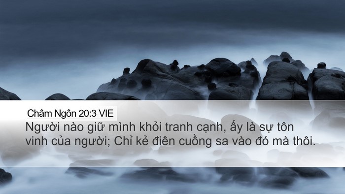 Châm Ngôn 20:3 VIE Bible Verse Image