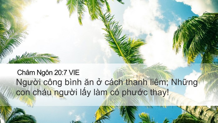 Châm Ngôn 20:7 VIE Bible Verse Image