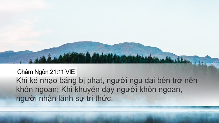 Châm Ngôn 21:11 VIE Bible Verse Image