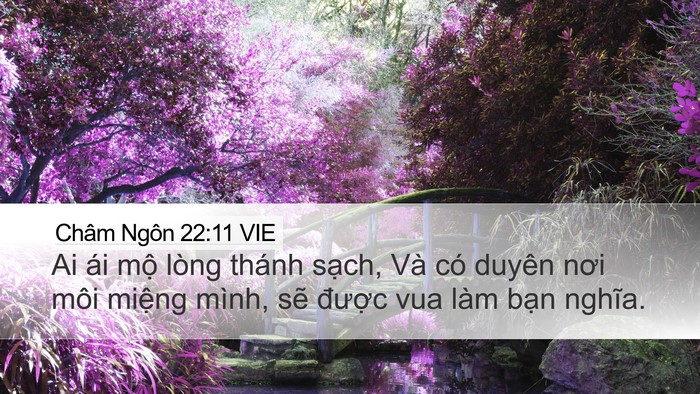 Châm Ngôn 22:11 VIE Bible Verse Image