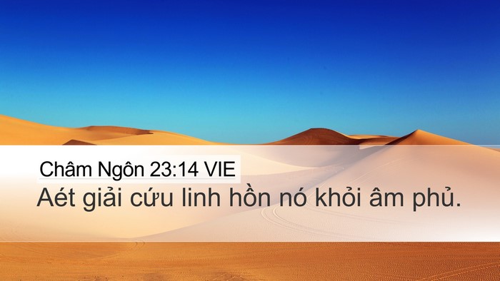 Châm Ngôn 23:14 VIE Bible Verse Image