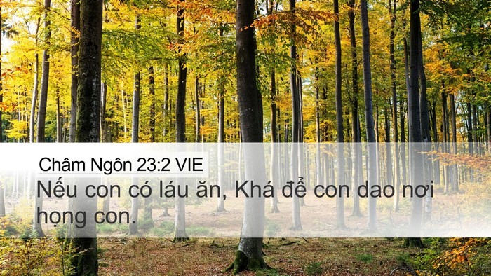 Châm Ngôn 23:2 VIE Desktop Wallpaper - Nếu con có láu ăn, Khá để con dao nơi - Desktop Bible Verse Wallpaper