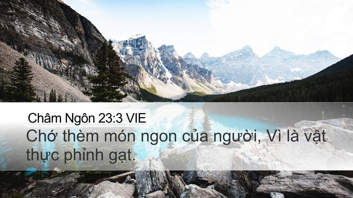 Châm Ngôn 23:3 VIE Bible Verse Image
