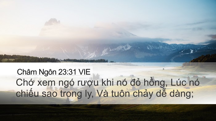 Châm Ngôn 23:31 VIE Bible Verse Image