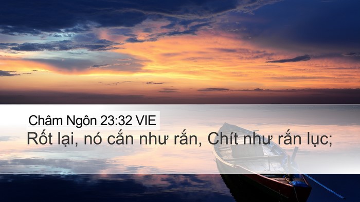 Châm Ngôn 23:32 VIE Bible Verse Image