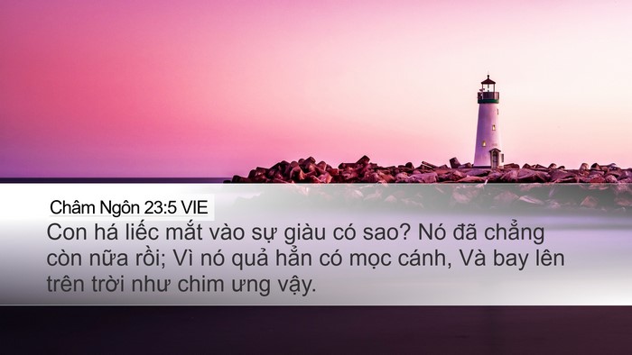 Châm Ngôn 23:5 VIE Bible Verse Image
