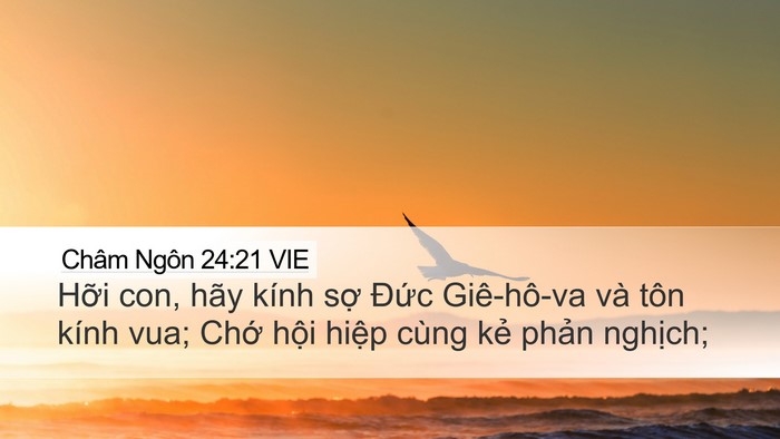 Châm Ngôn 24:21 VIE Bible Verse Image