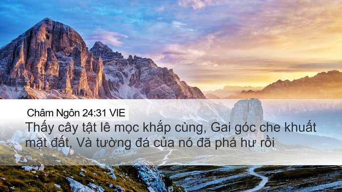 Châm Ngôn 24:31 VIE Desktop Wallpaper - Thấy cây tật lê mọc khắp cùng, Gai - Desktop Bible Verse Wallpaper