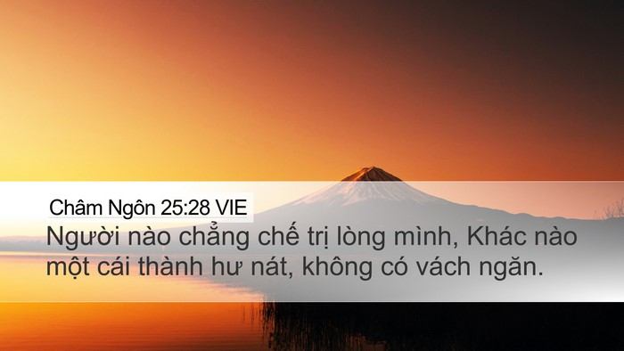 Châm Ngôn 25:28 VIE Bible Verse Image