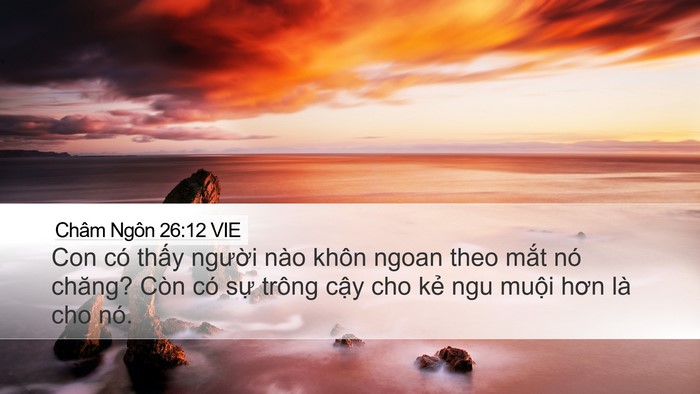 Châm Ngôn 26:12 VIE Bible Verse Image