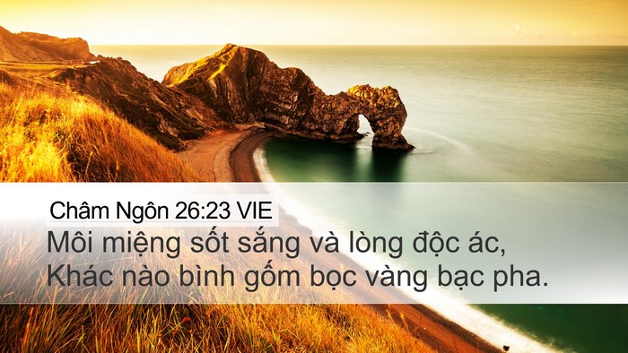 Châm Ngôn 26:23 VIE Bible Verse Image